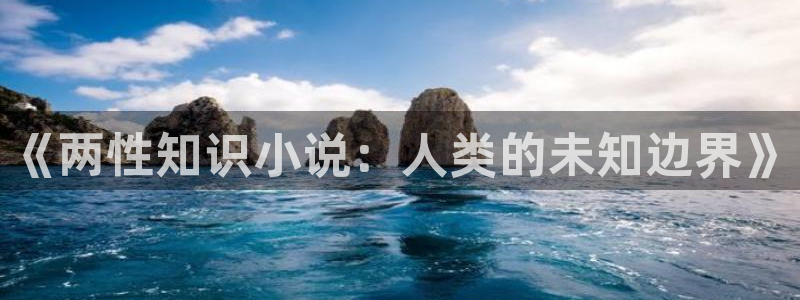 seventeen同人小说
