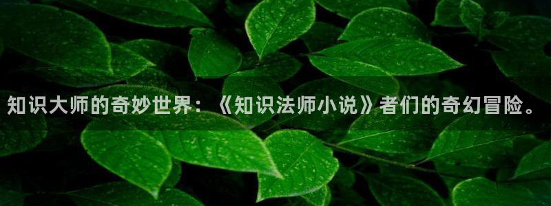 在哪里可以看同人小说