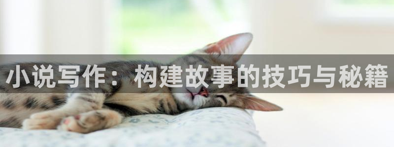 兄坑同人小说在线阅读