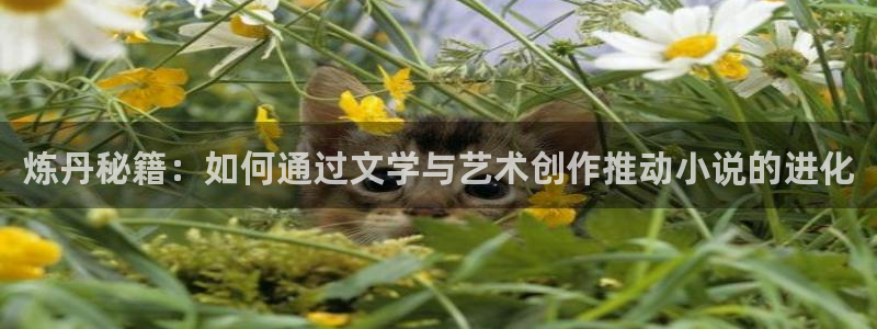 长篇同人小说